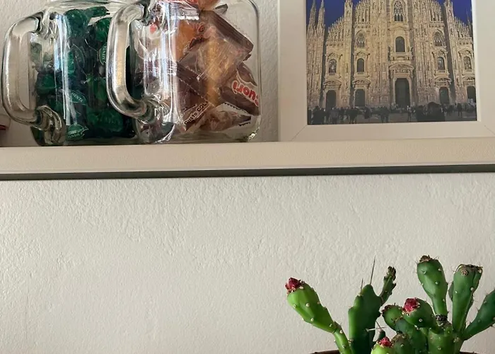 F&m Gambara M1 ミラノ